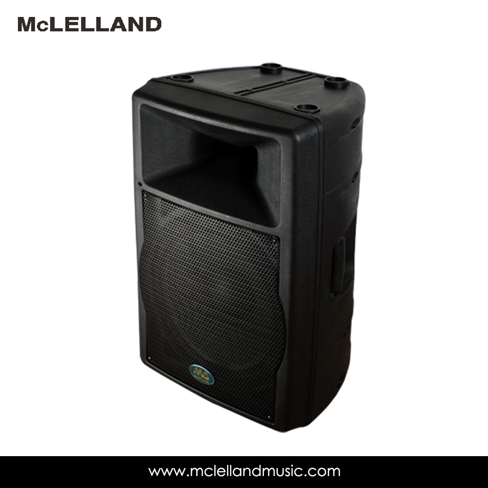 Active Speaker (Perception 15A)