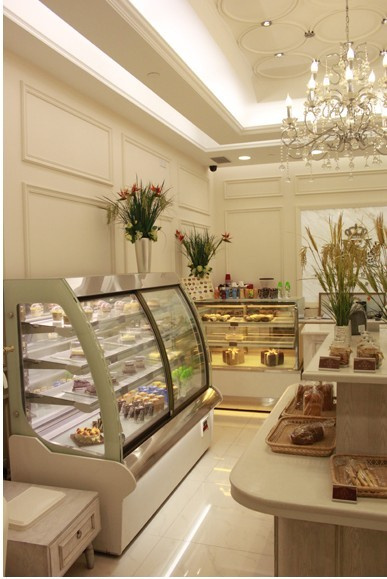 CE Approval Cake Display Refrigerator Cae