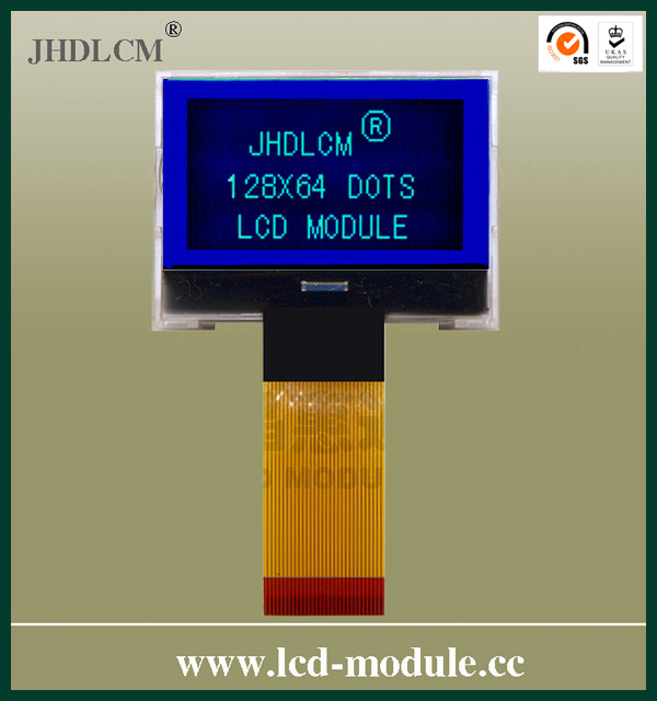 30 Pin LCD Display