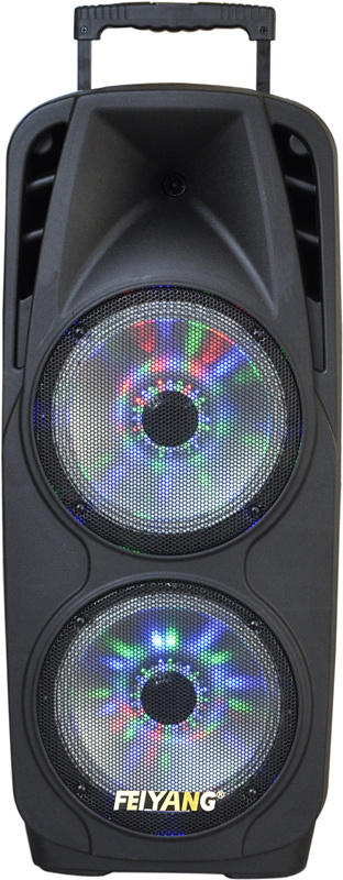 Double 10inch Portable PA System with Rechargeable Battery & Wireless VHF Handheld Microphone F73D
