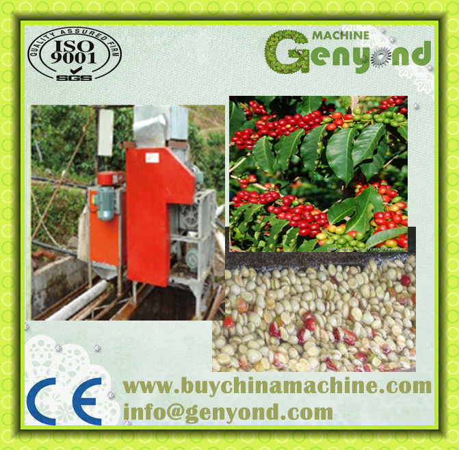 Electricity Type Green Coffee Bean Processing Machine