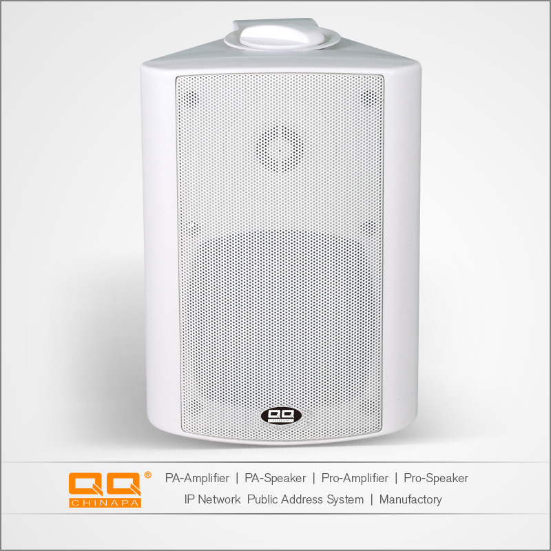 OEM ODM Hifi Home Audio in Ceiling Speaker with CE