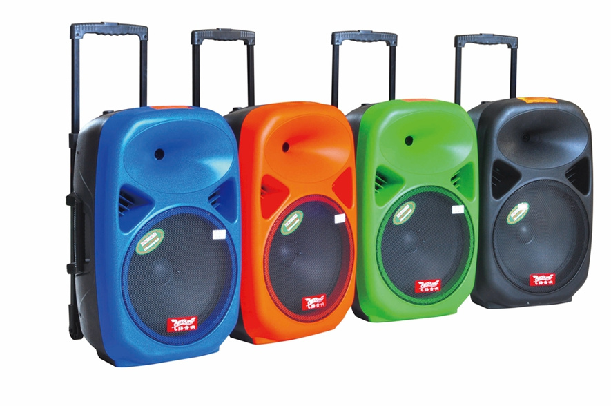 Outdoor Loudspeaker with Bluetooth USB Battery Speaker F28