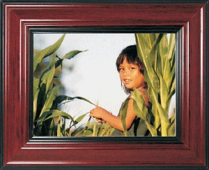 Digital Photo Frame