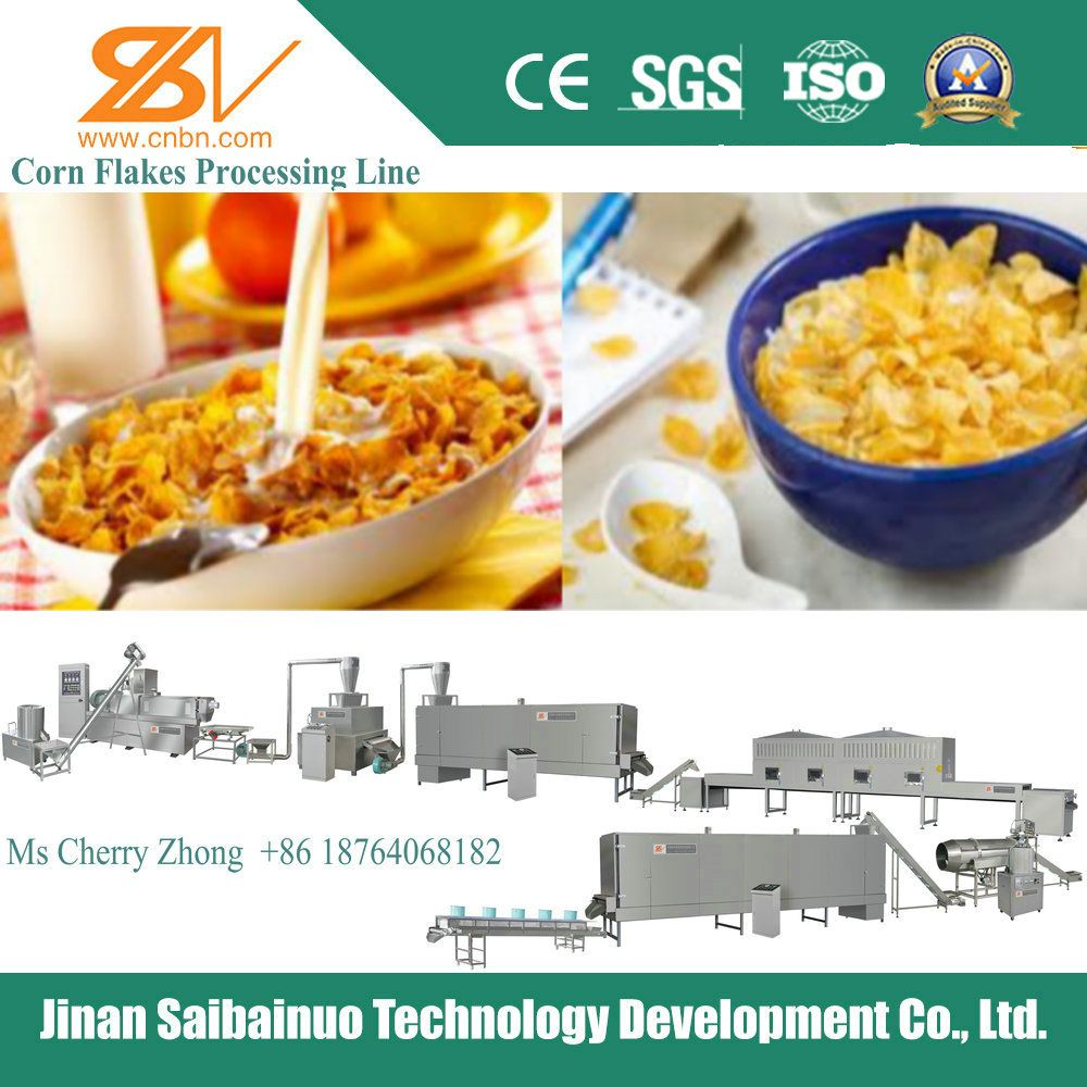 Corn Flakes Making Plant