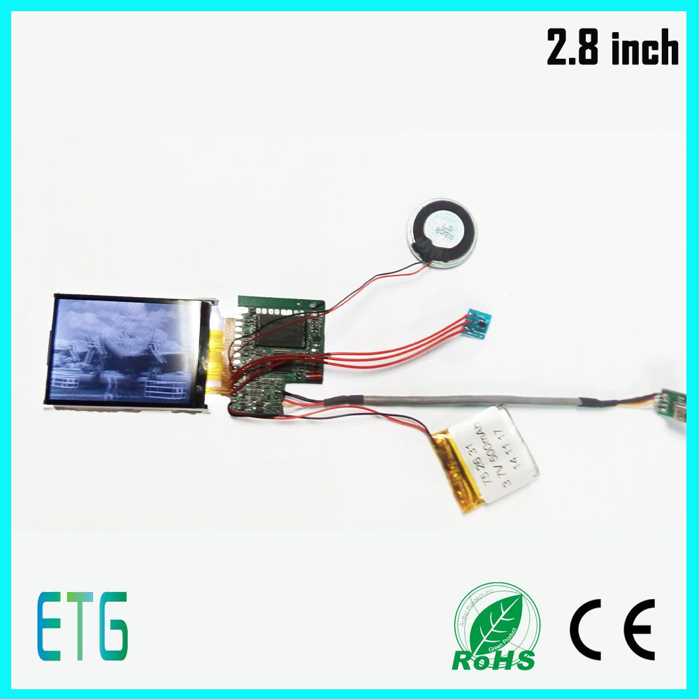 LCD Display Screen