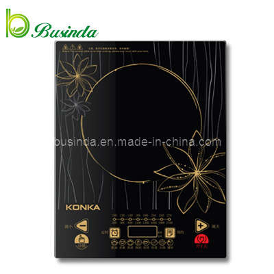 Induction Cooker (BD-21CS13) 