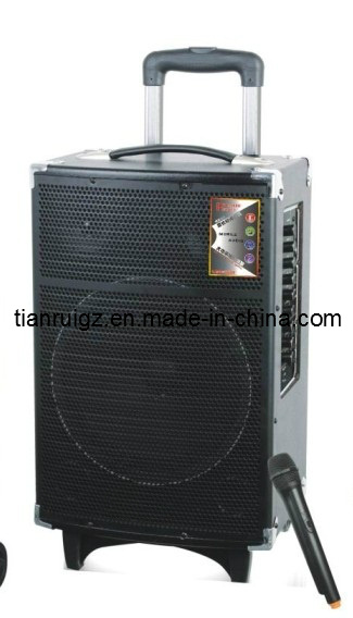 Trolley Speaker with Bluetooth Rechargeable Mobable Speaker Dp-12