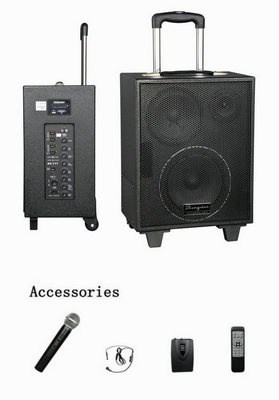 Professional Portable Wireless Amplifier