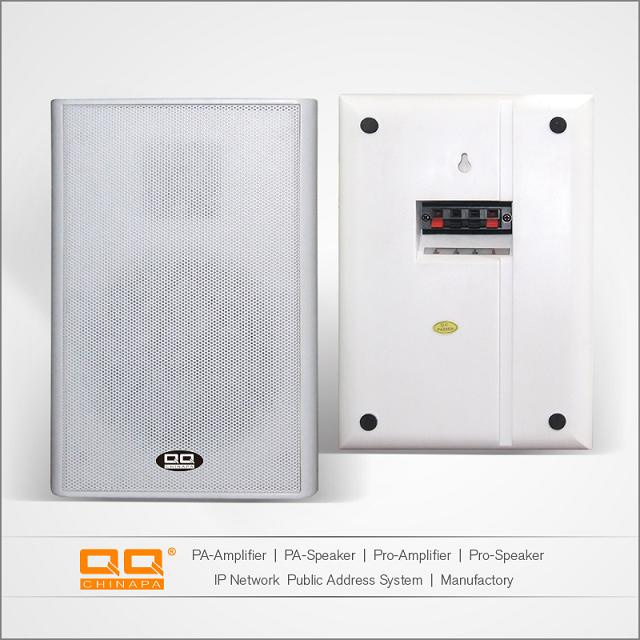 Super Slim Wall Mounted Speaker with Coaxial