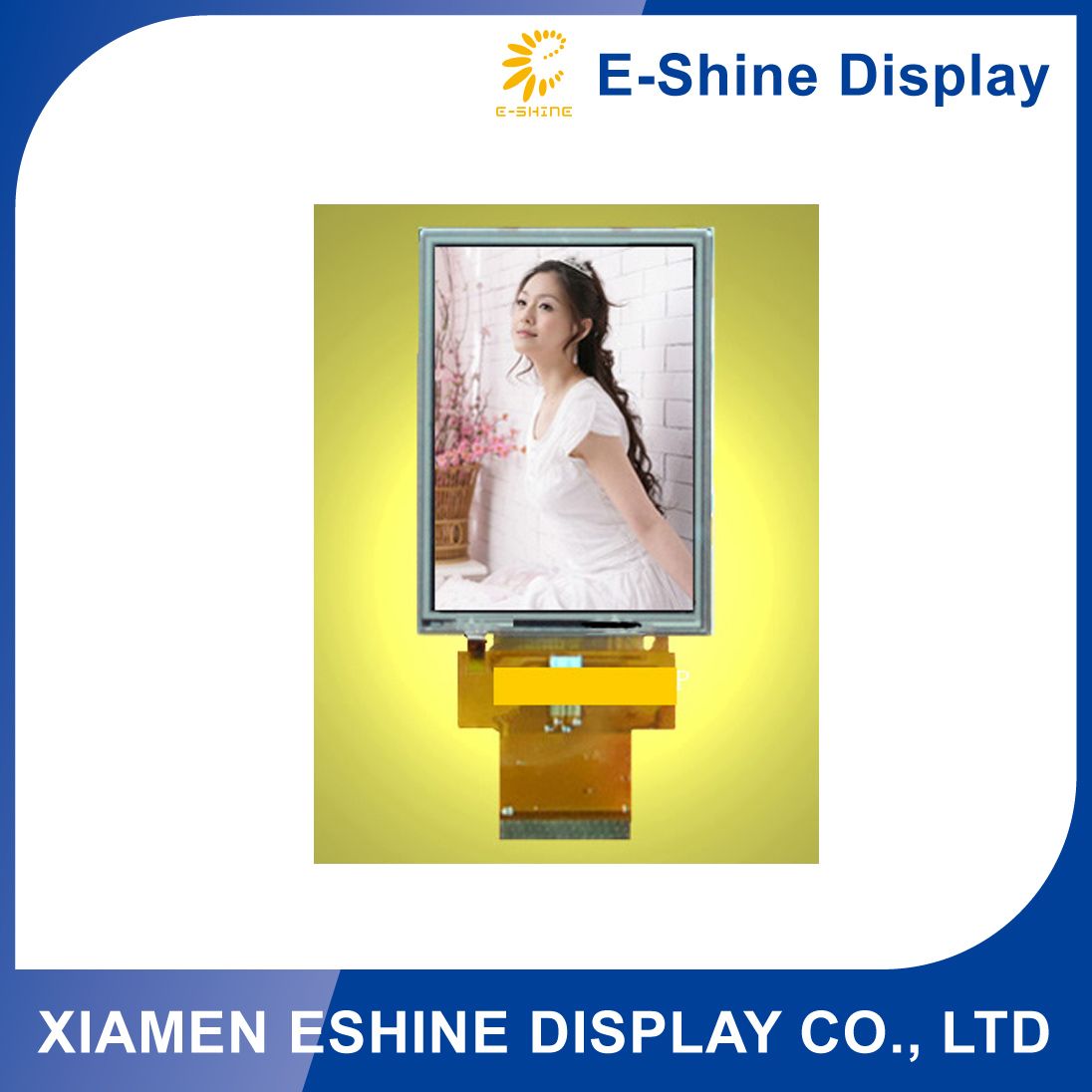TFT LCD Display with Size 12.1