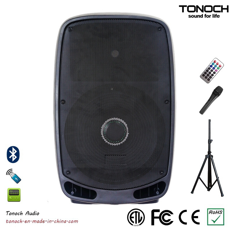 Economic Active PRO Audio Loudspeaker