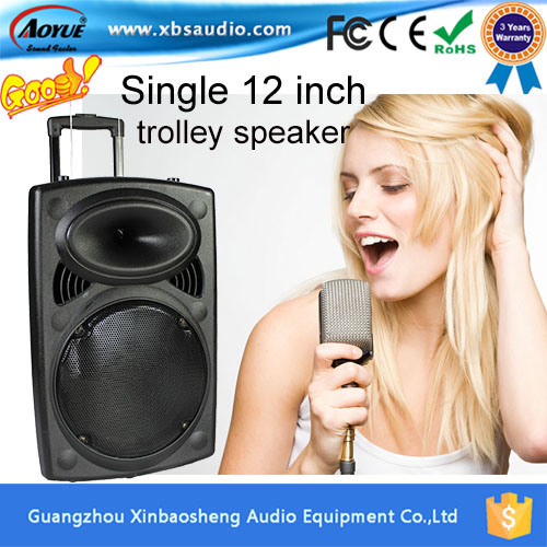 Single 12-Inch High End Active Trolley Speakers FM Radio