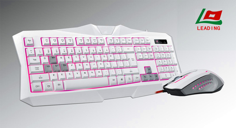 Computer Keyboard and Mouse