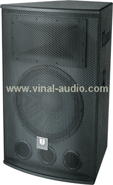 Professional Speaker (VS205)