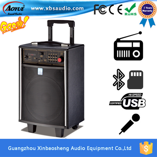 New Portable Speaker with Wireless Mic -USB, FM, Bluetooth