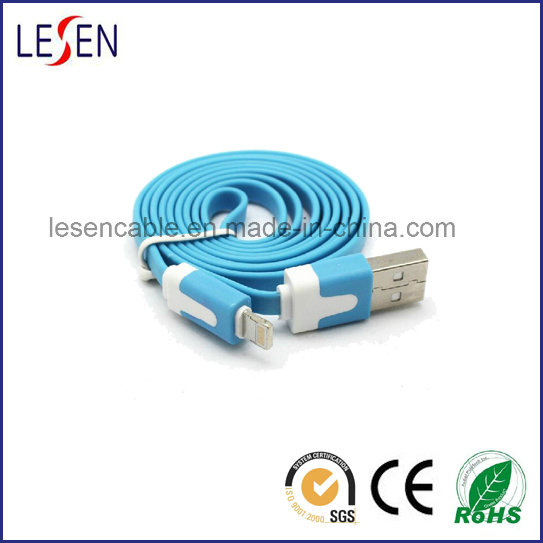 USB Cable for iPhone