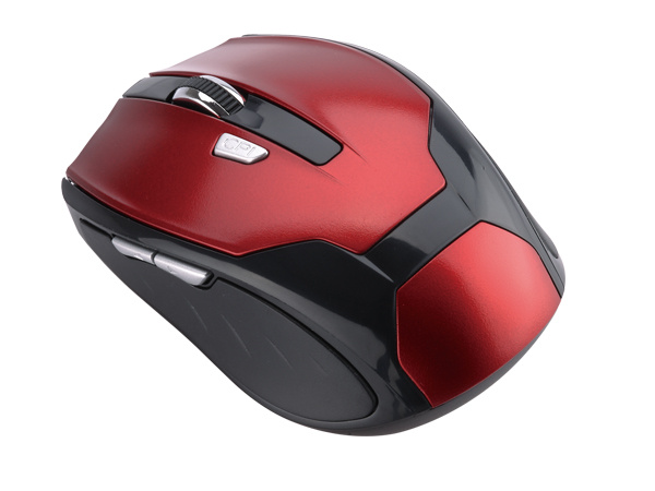 Wireless Mouse (WM-310)
