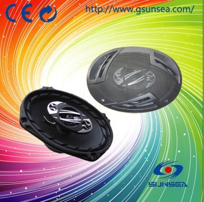 Car Speaker (CS-6901)
