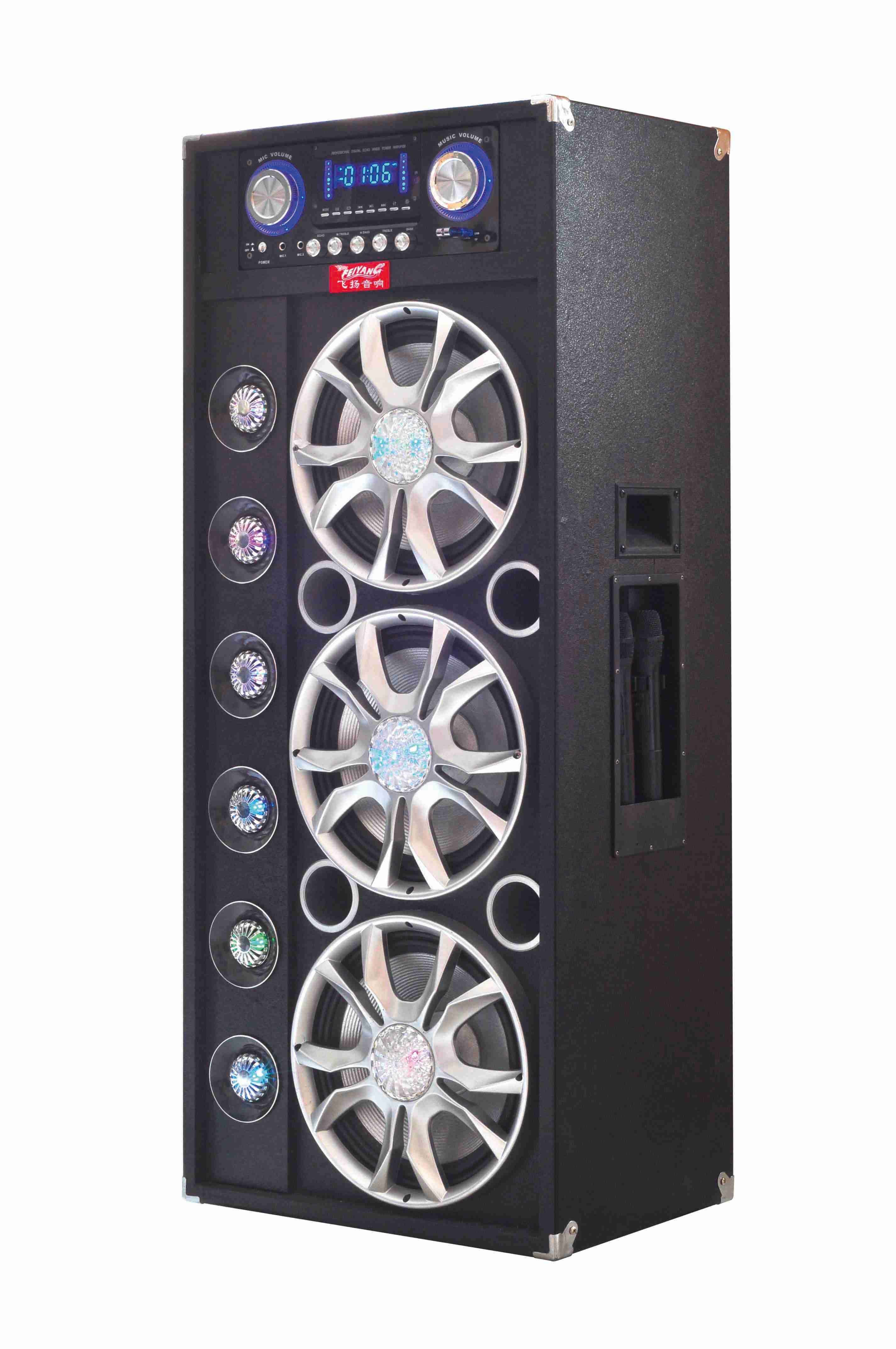 Professional DJ Speaker A13