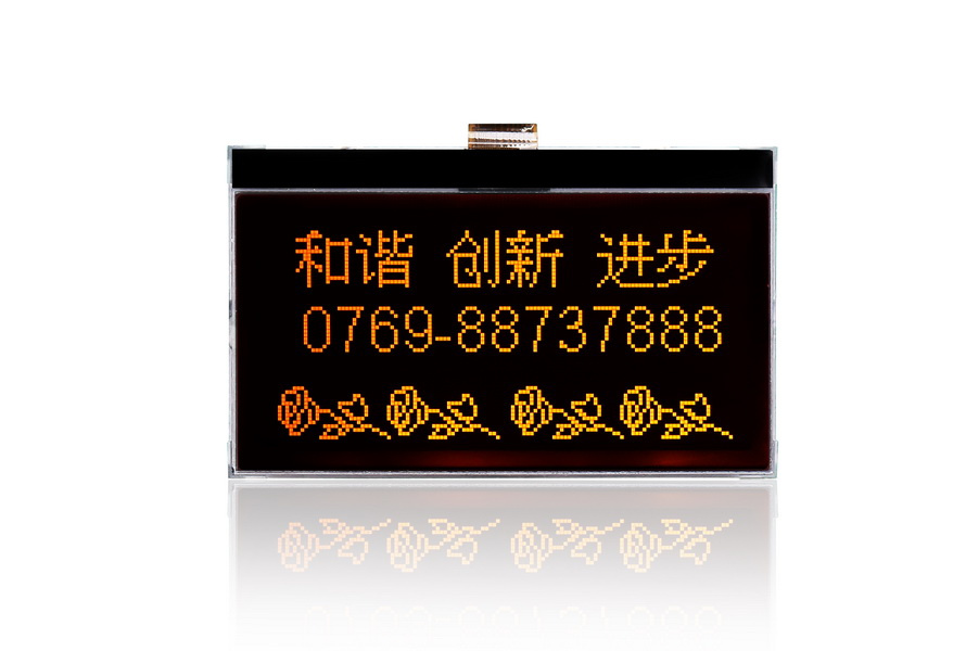 DFSTN Negative LCD DISPLAY