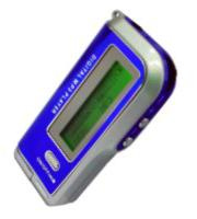 MP3 Player (DMP-M15C)