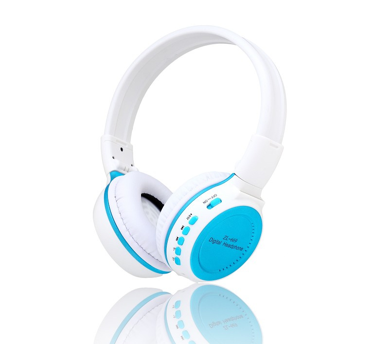 FM Headset (669)