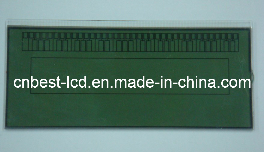 Customized Electone LCD Display (BZTN100163)