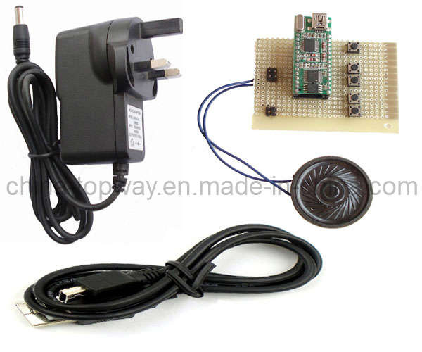 USB Sound Module (TW-U01SM)