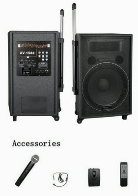 Professional Portable Wireless Amplifier