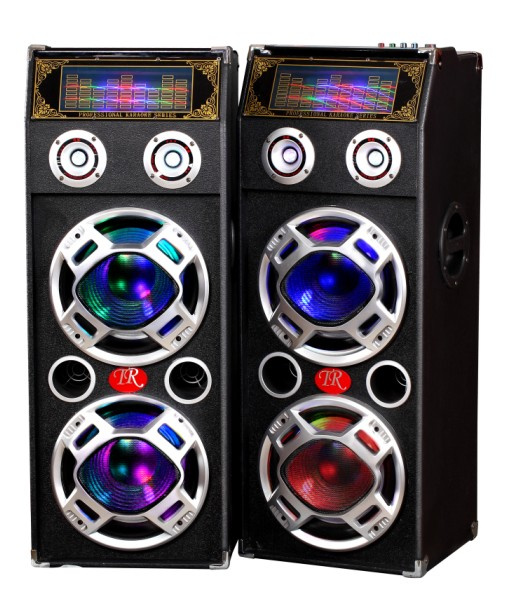 Professional Stage Speaker TM-1010 Factory Price Speaker