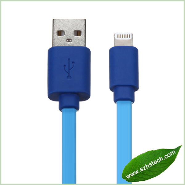Mfi Certified Lightning to USB Cable with C48 Chips