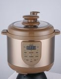 Digital L1 Titanium Gold