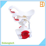 S031 White Motorcycle Bicycle Holders for Mobile Phones