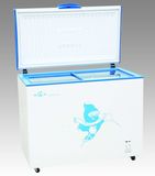 Freezer BD/C-256