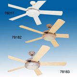 Ceiling Fan (MG10993)