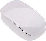 2.4G Wireless Touch Mouse (WM-316T)