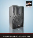 Single 15inch PRO Audio System