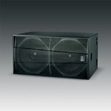 Big Power Subwoofer System (FS-218)