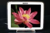 3D Digital Photo Frame