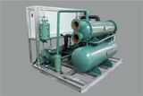 20t Tube Ice Maker for Food Processing