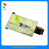 5 Inch LCD Display with Resolution 480*800 with Brightness 200 CD/M2 (LC500-01)