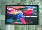 Indoor LED Display (P6)