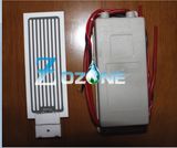 5g Ozone Plate for Air Purifier