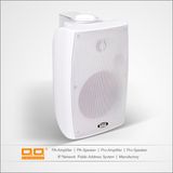 Lbg-5084W High Class Wall Mount Speaker