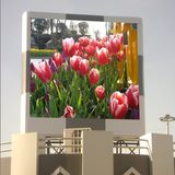 Flexible LED Screen P6 LED Display