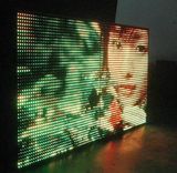 Tri-Color LED Display