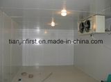 Cold Storage Walk in Refrigerator, Freezer