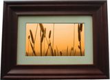 Digital Photo Frame (DP7058B)
