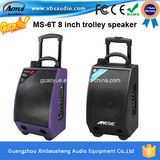 Outdoor Rechargeable Wireless Fashion Speaker with Karaoke Input